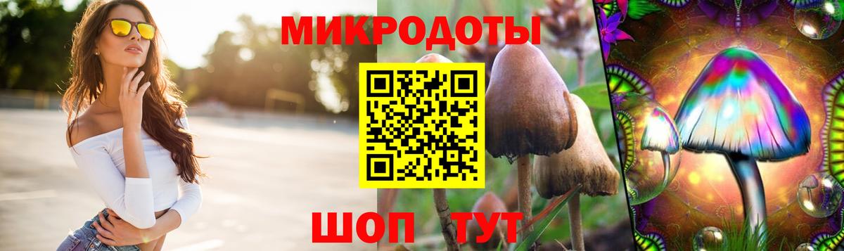 Корсаков  Псилоцибиновые грибы GOLDEN TEACHER  Галлюциногенные грибы Psilocybe  Вход с VPN 